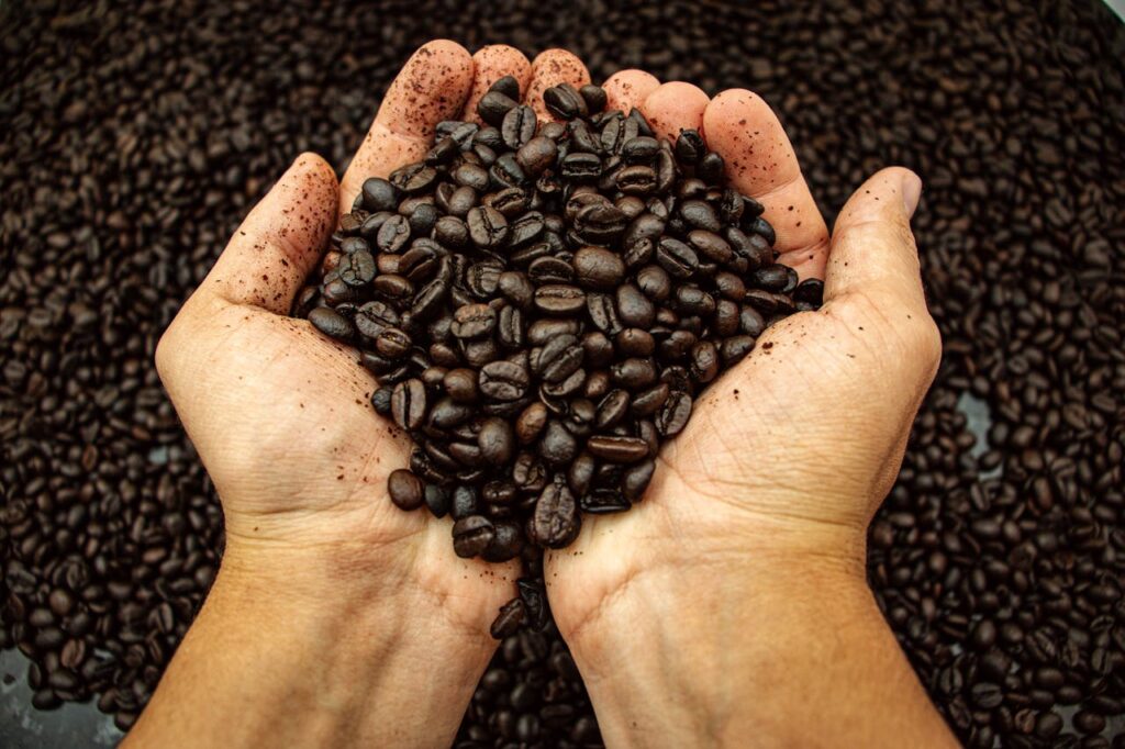 5 datos que tal vez no conocías del café 5 datos que tal vez no conocías del café