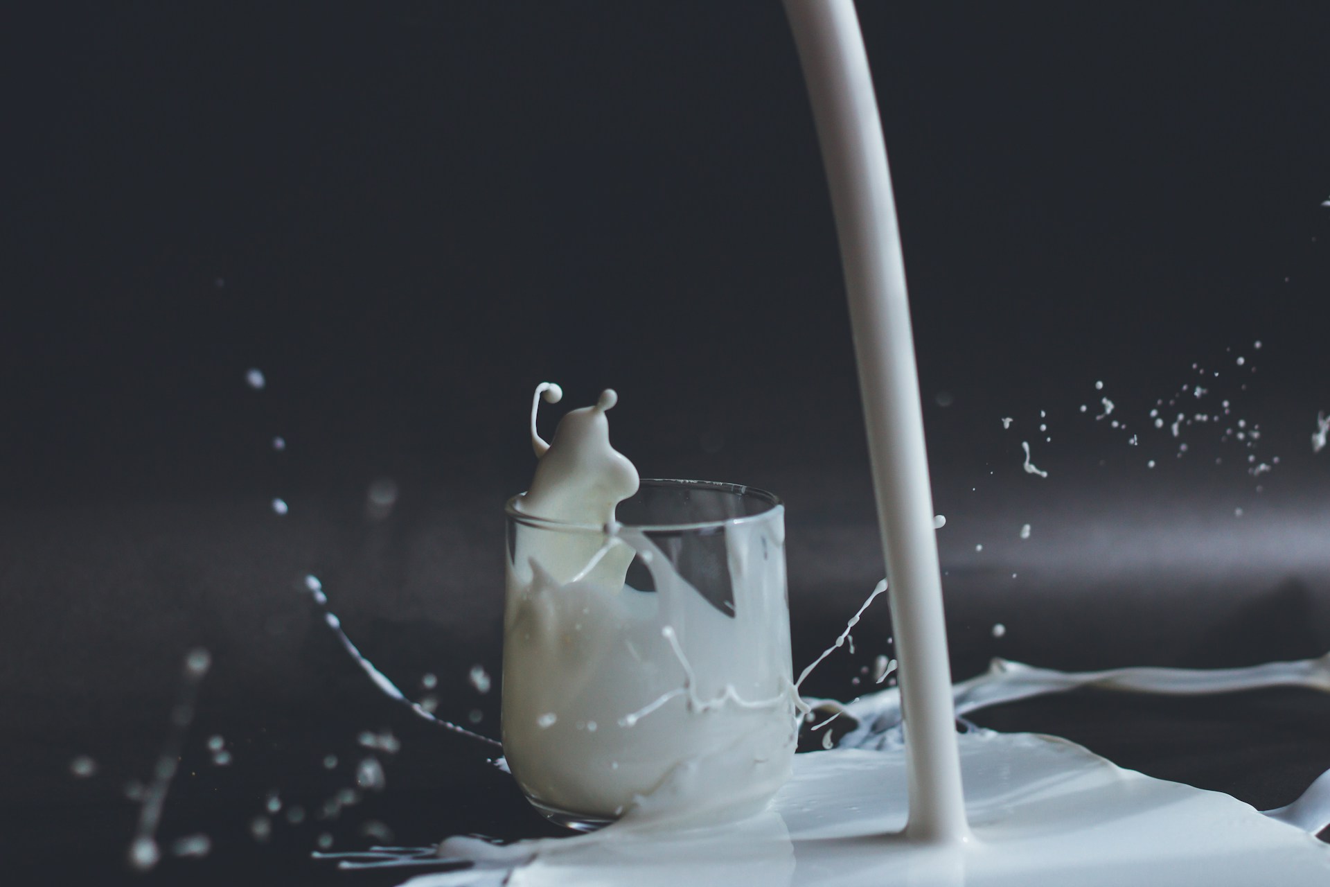día mundial de la leche