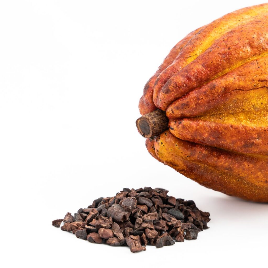 Día Mundial del Cacao: un regalo de Poseidón al Viejo Mundo Cacao. Día mundial del cacao