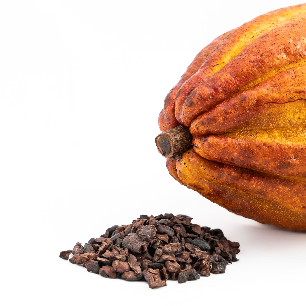Cacao. Día mundial del cacao