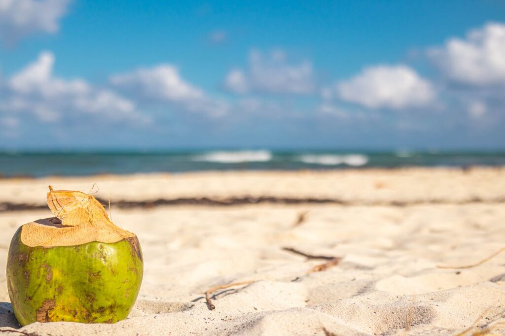Coco para piña colada