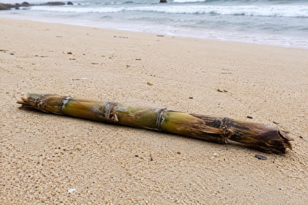 Descanso en la playa