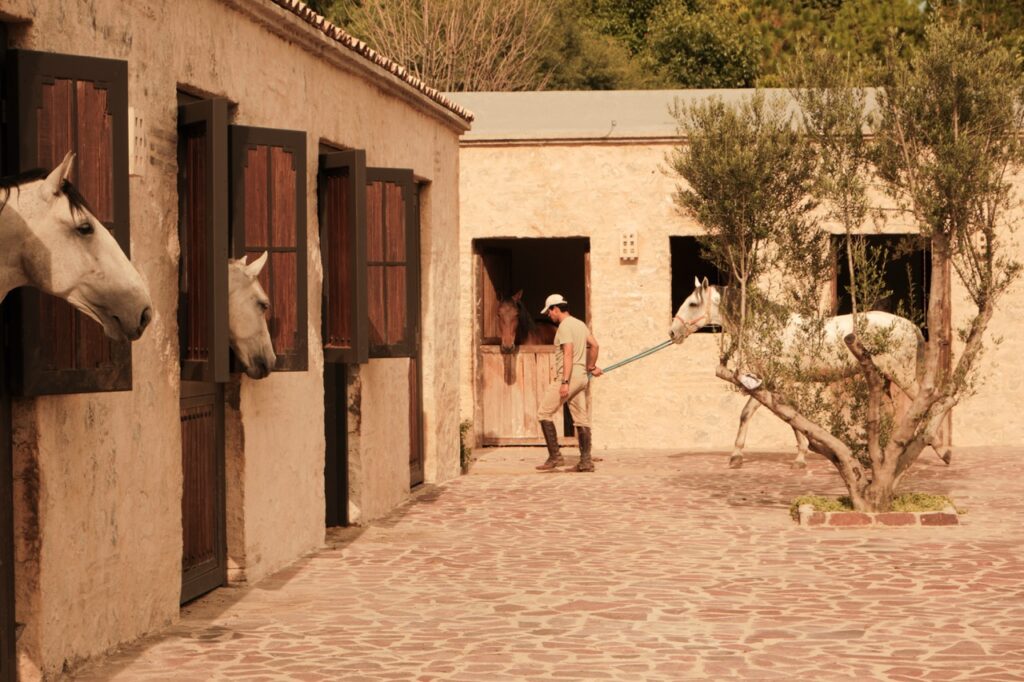 Casa Reyes, viñedo ecuestre