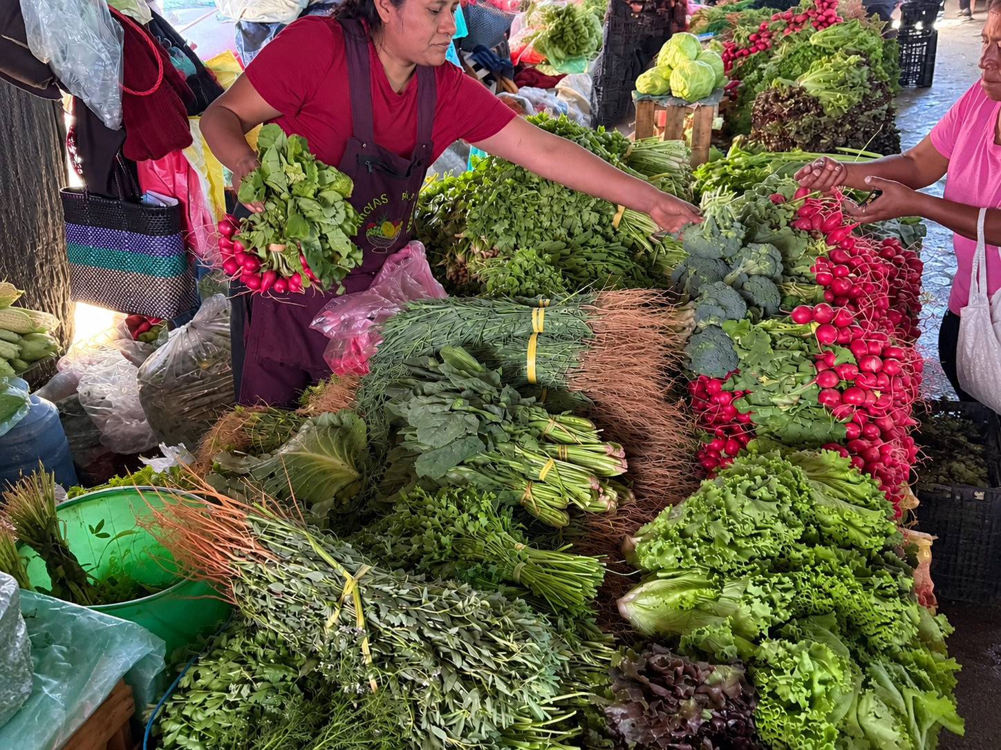 Hierbas tradicionales de Oaxaca