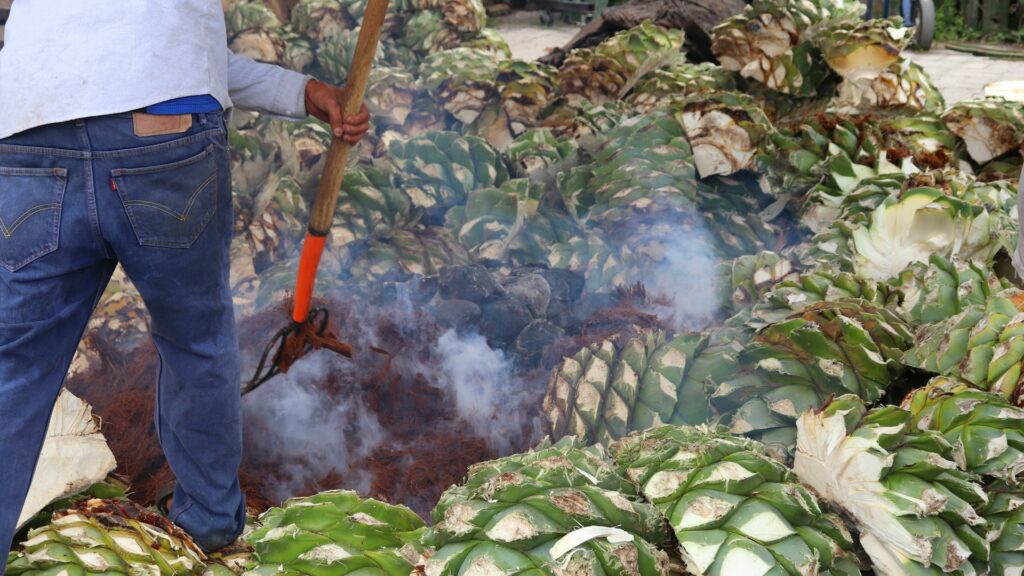 El mezcal, biodiversidad y paisaje