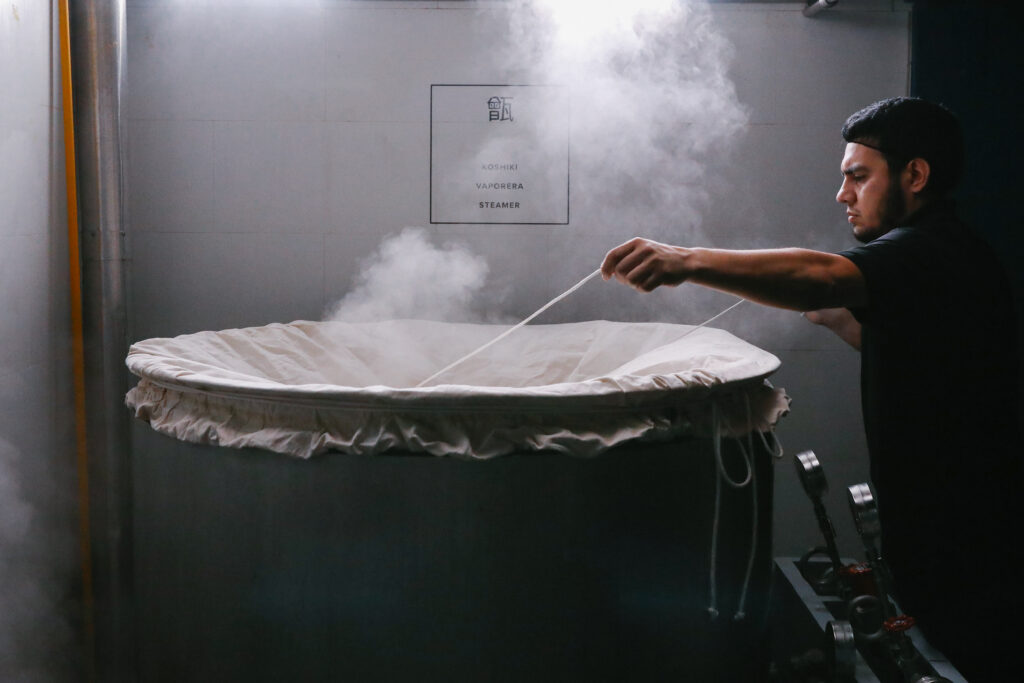 Proceso de fermentación