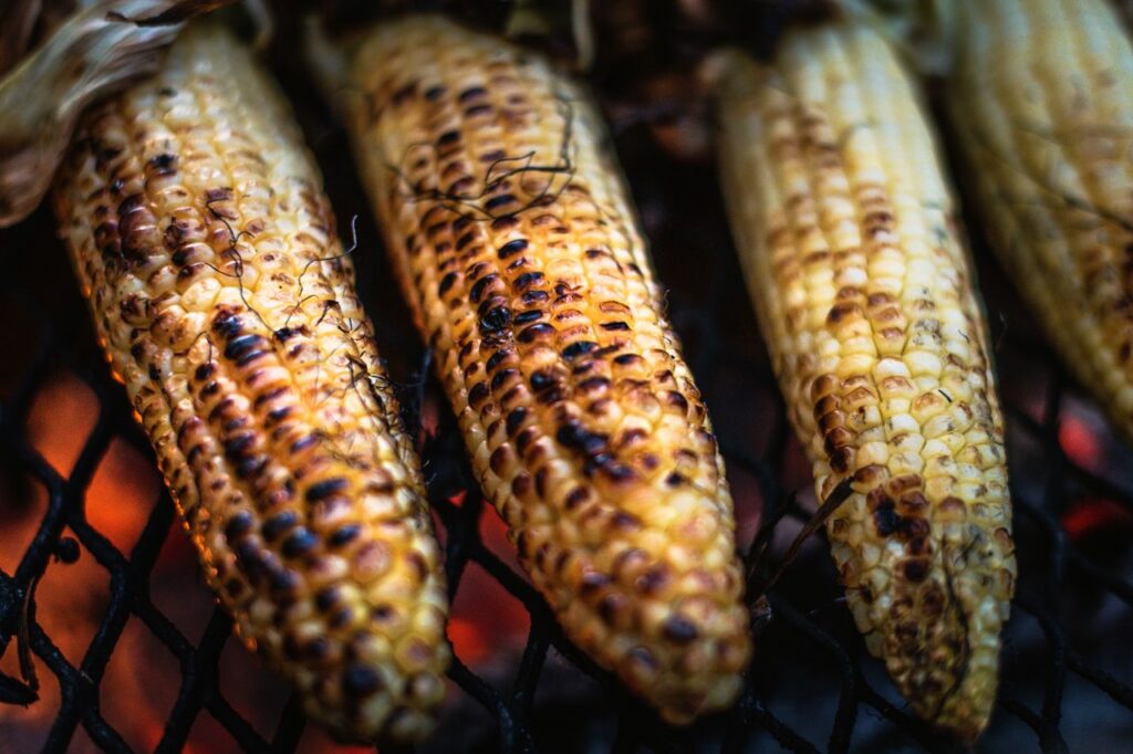 Feria Nacional del Elote 2026: una vuelta con mucho antojo pexels timmossholder 12532595