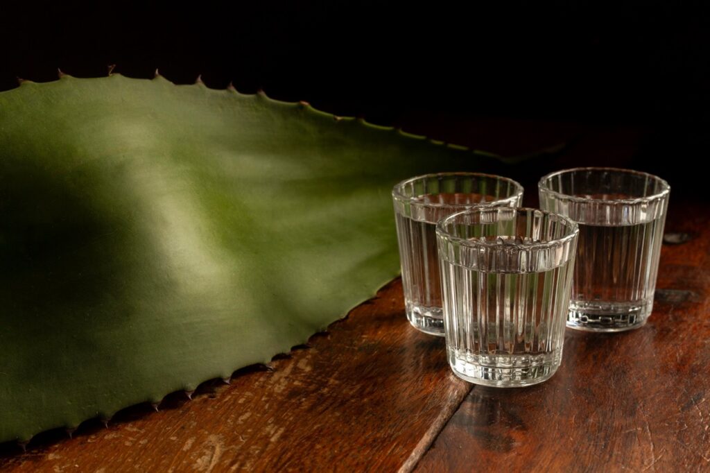 Mundo Mezcal regresa a CDMX este 2026