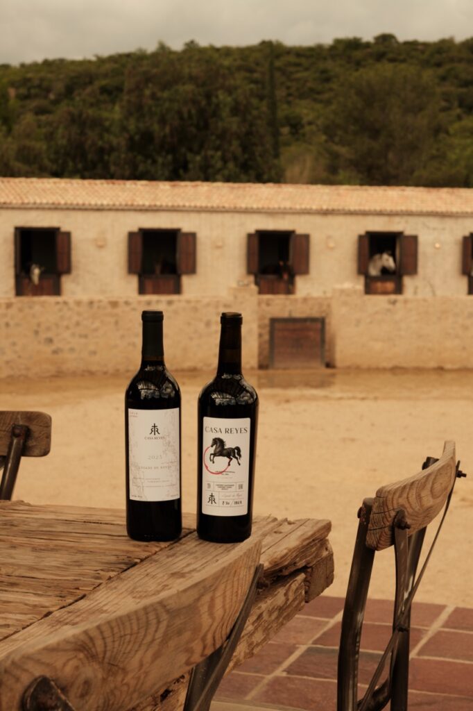 vino casa reyes