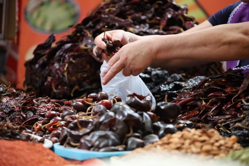 Chiles secos chula gula