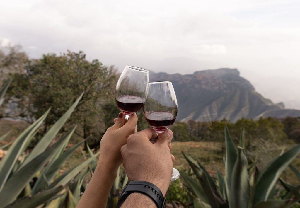 vino mexicano